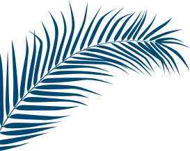 icone feuille bleu Camping Paradis